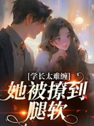 宋屿安辛瑜